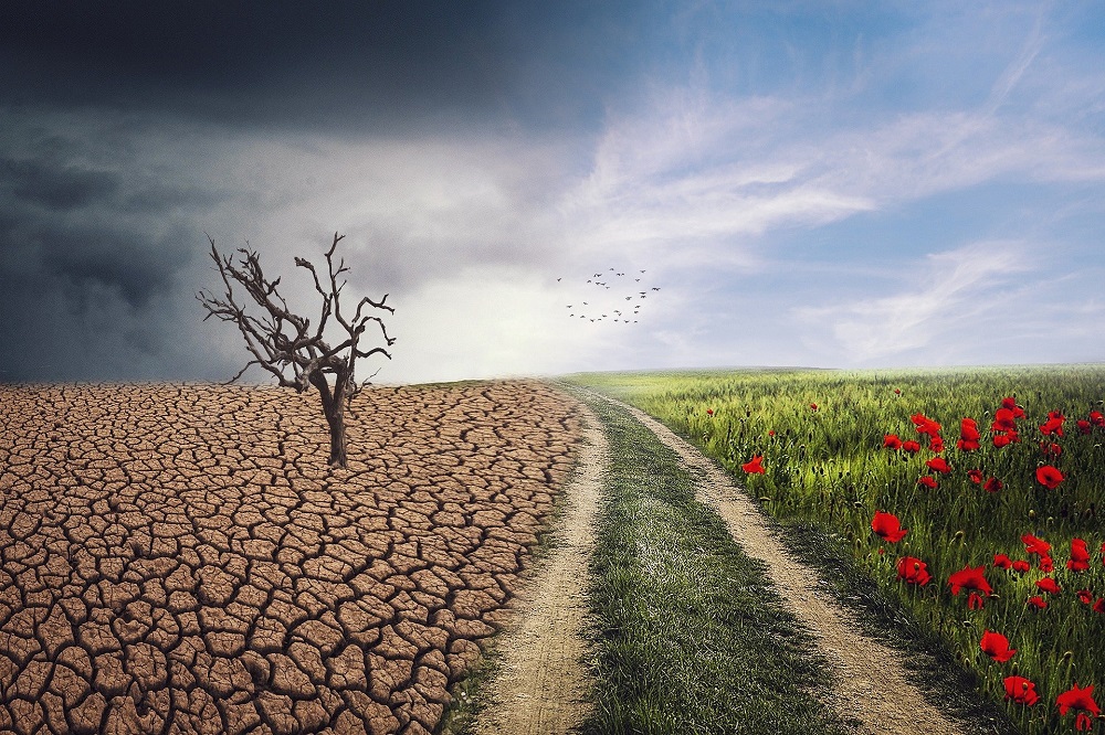 Επιστήμη- Περιβάλλον: Οι απότομες αλλαγές από ξηρασία σε έντονες βροχοπτώσεις αποτέλεσμα της κλιματικής αλλαγής