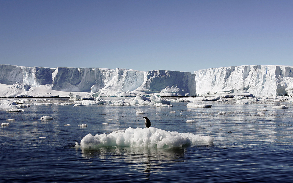 H Ανταρκτική λιώνει και μολύνεται, του Δημήτρη Κωνσταντακόπουλου*